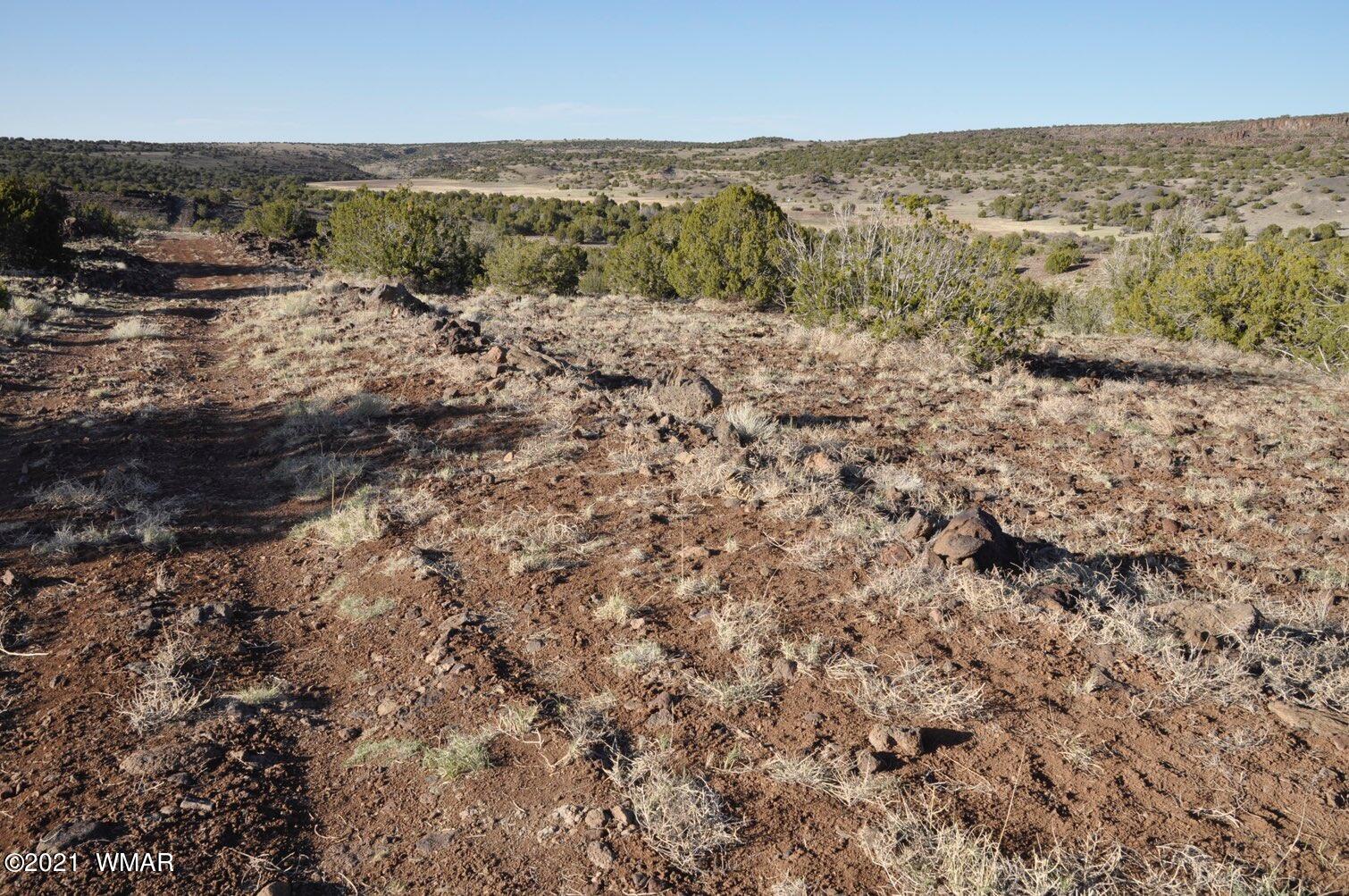 21-22 County Road Concho, AZ 85924 - Photo 2 of 25