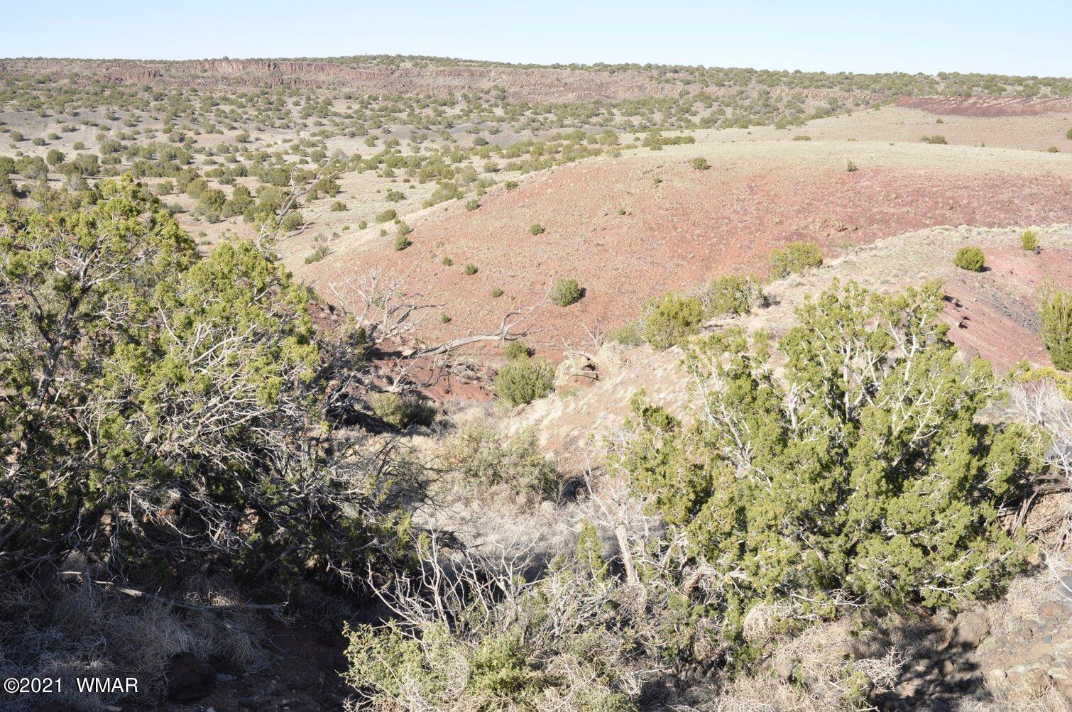 21-22 County Road Concho, AZ 85924 - Photo 21 of 25