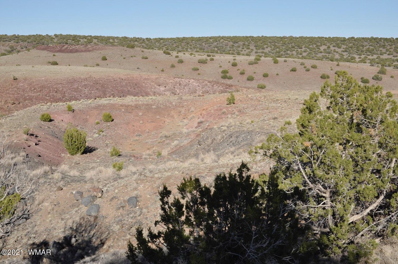21-22 County Road Concho, AZ 85924 - Photo 22 of 25