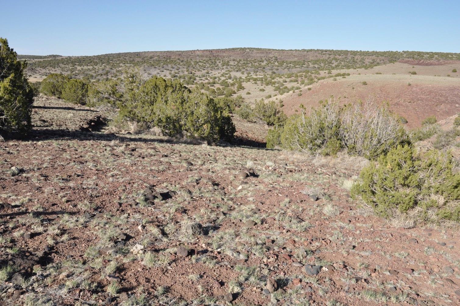 21-22 County Road Concho, AZ 85924 - Photo 23 of 25