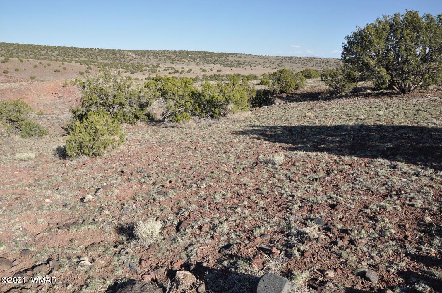 21-22 County Road Concho, AZ 85924 - Photo 24 of 25