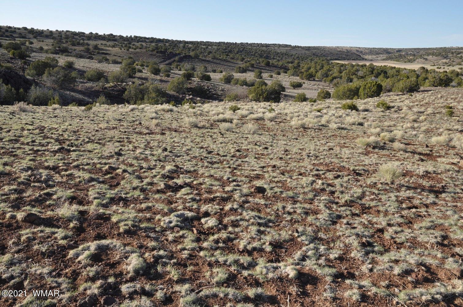 21-22 County Road Concho, AZ 85924 - Photo 25 of 25