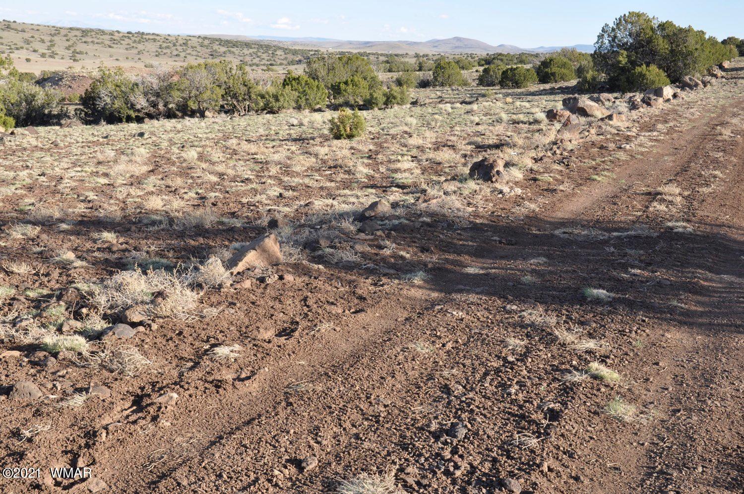 21-22 County Road Concho, AZ 85924 - Photo 3 of 25