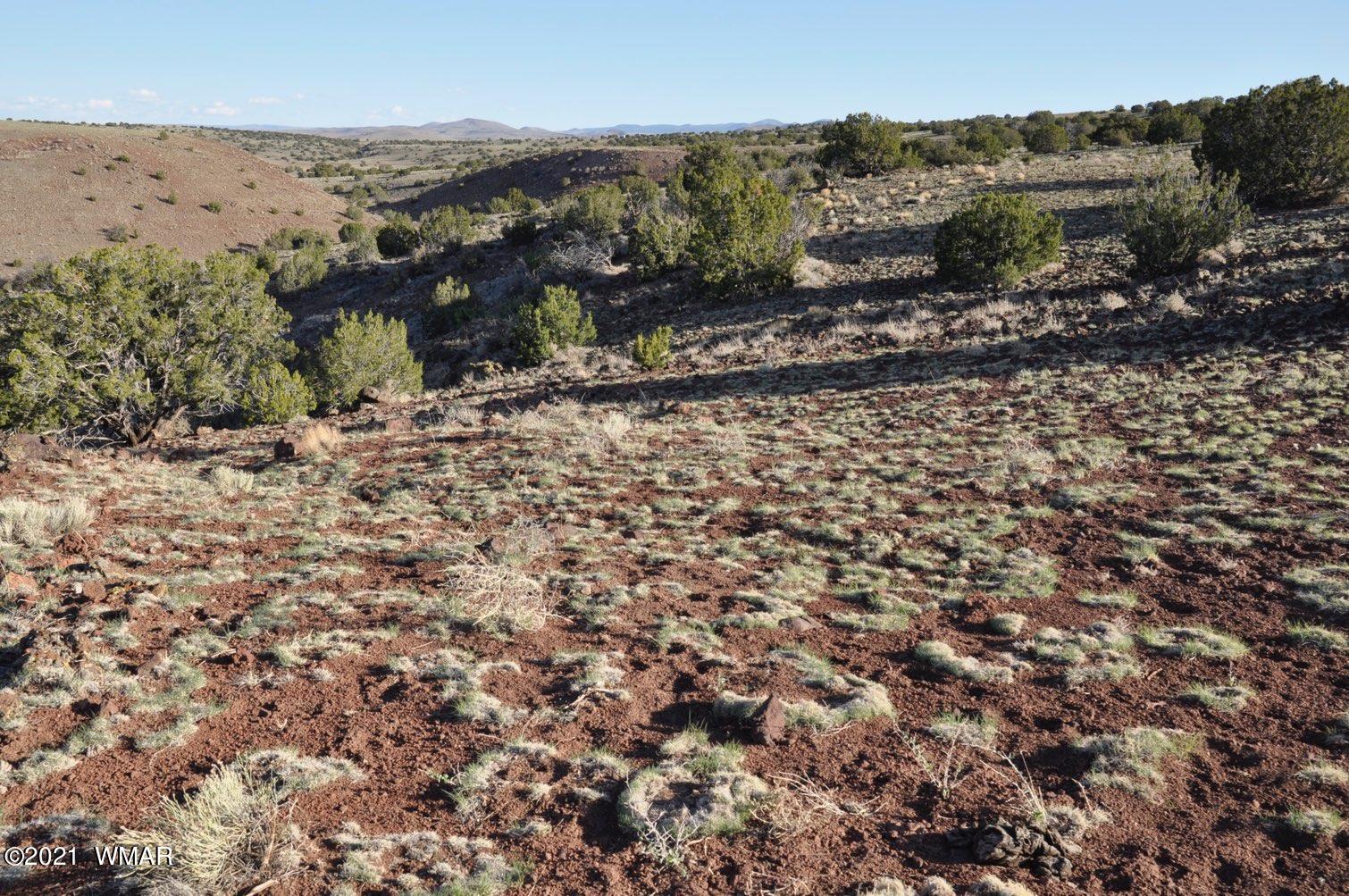 21-22 County Road Concho, AZ 85924 - Photo 4 of 25