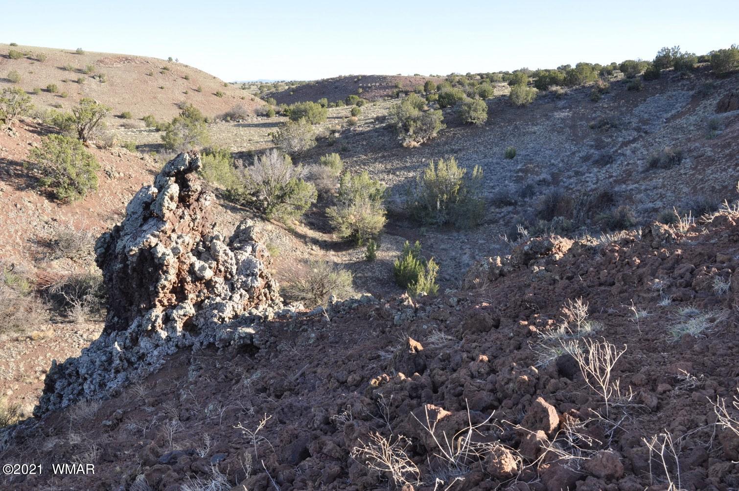 21-22 County Road Concho, AZ 85924 - Photo 5 of 25