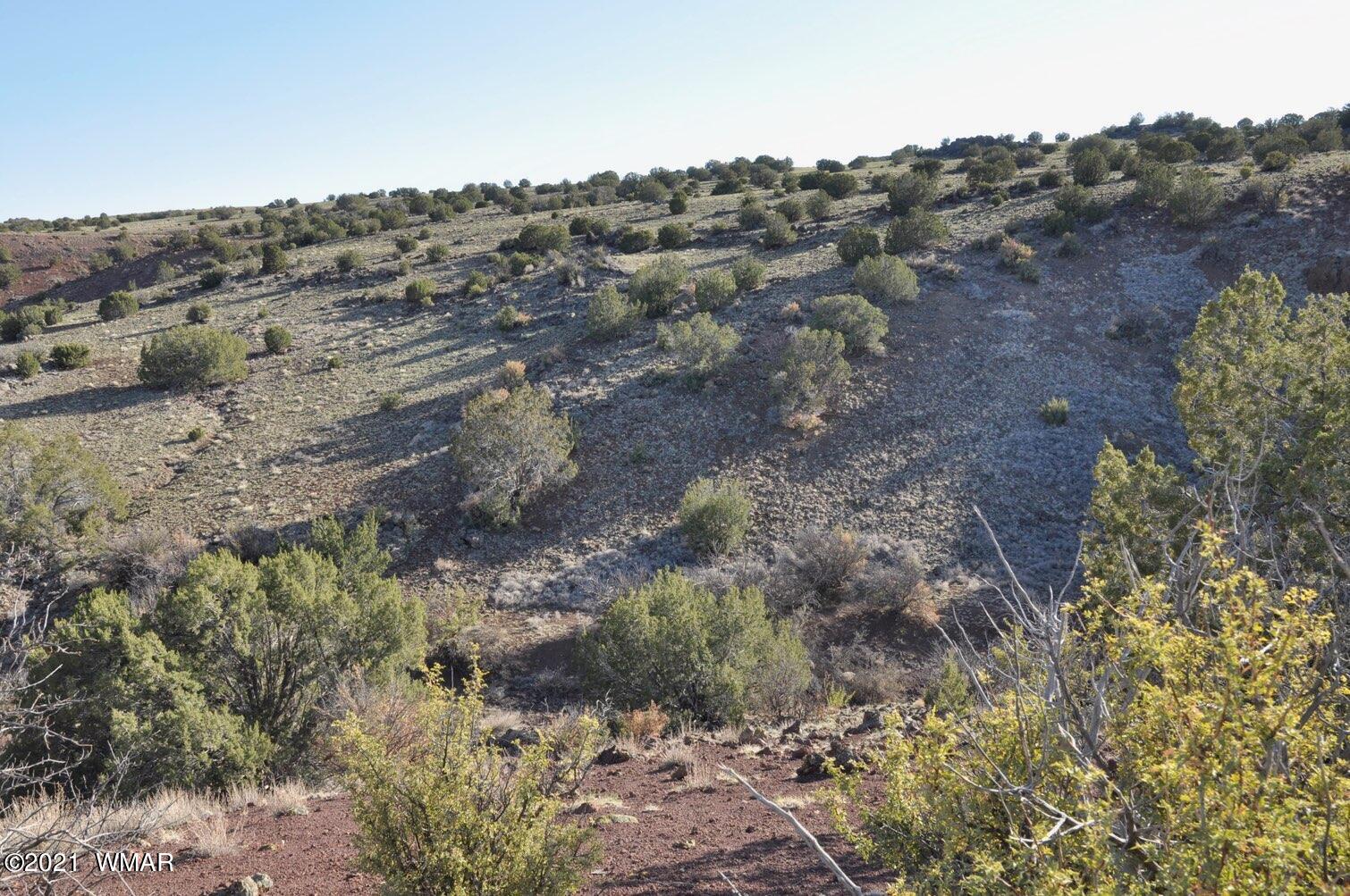 21-22 County Road Concho, AZ 85924 - Photo 6 of 25