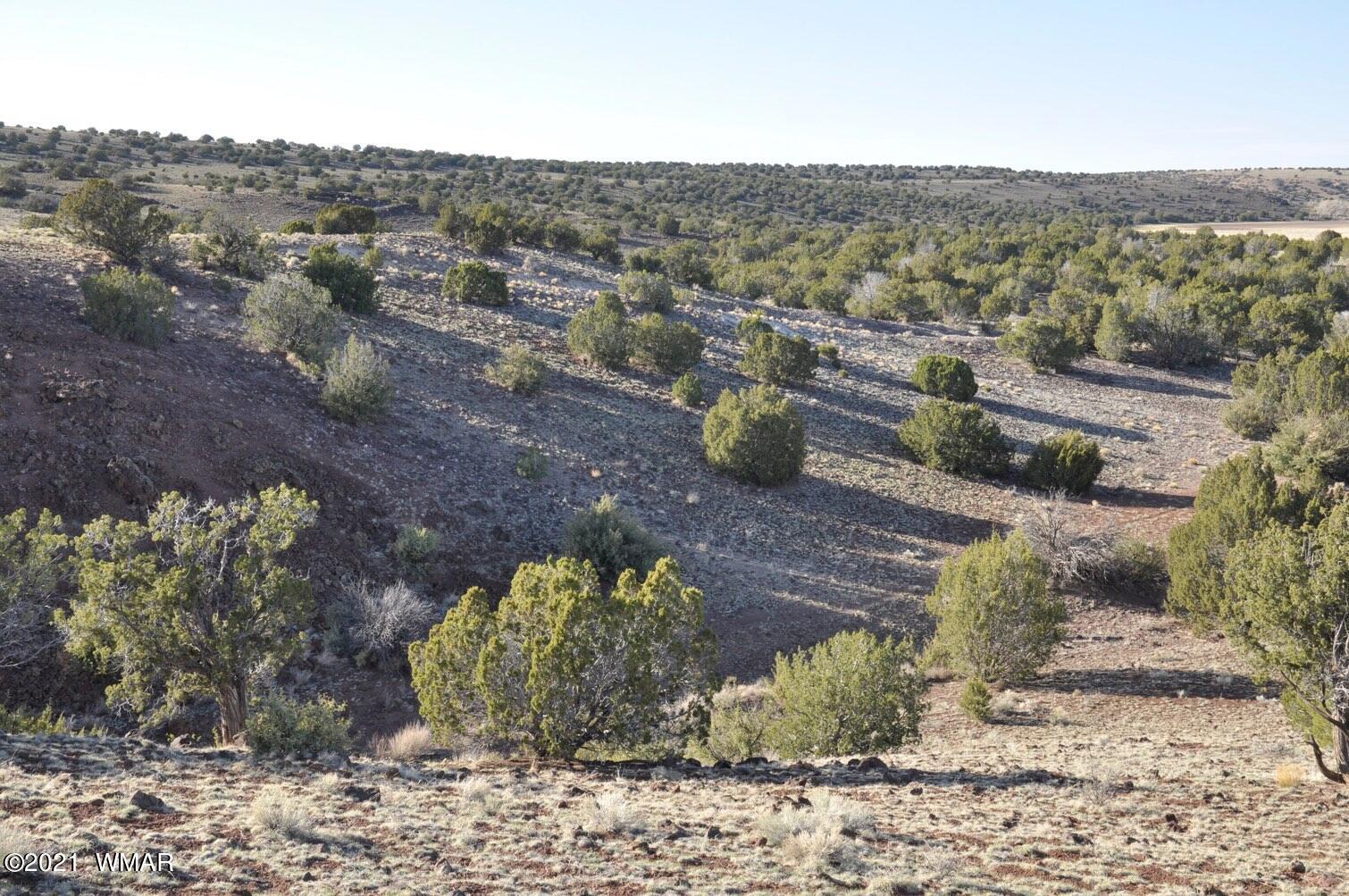 21-22 County Road Concho, AZ 85924 - Photo 7 of 25
