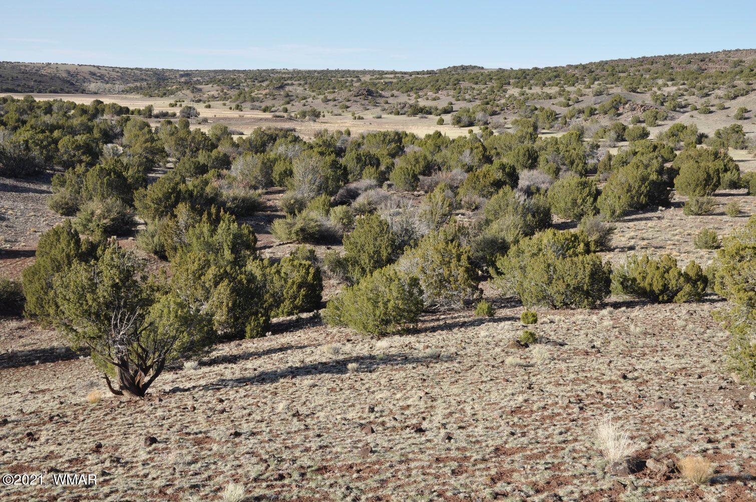 21-22 County Road Concho, AZ 85924 - Photo 8 of 25