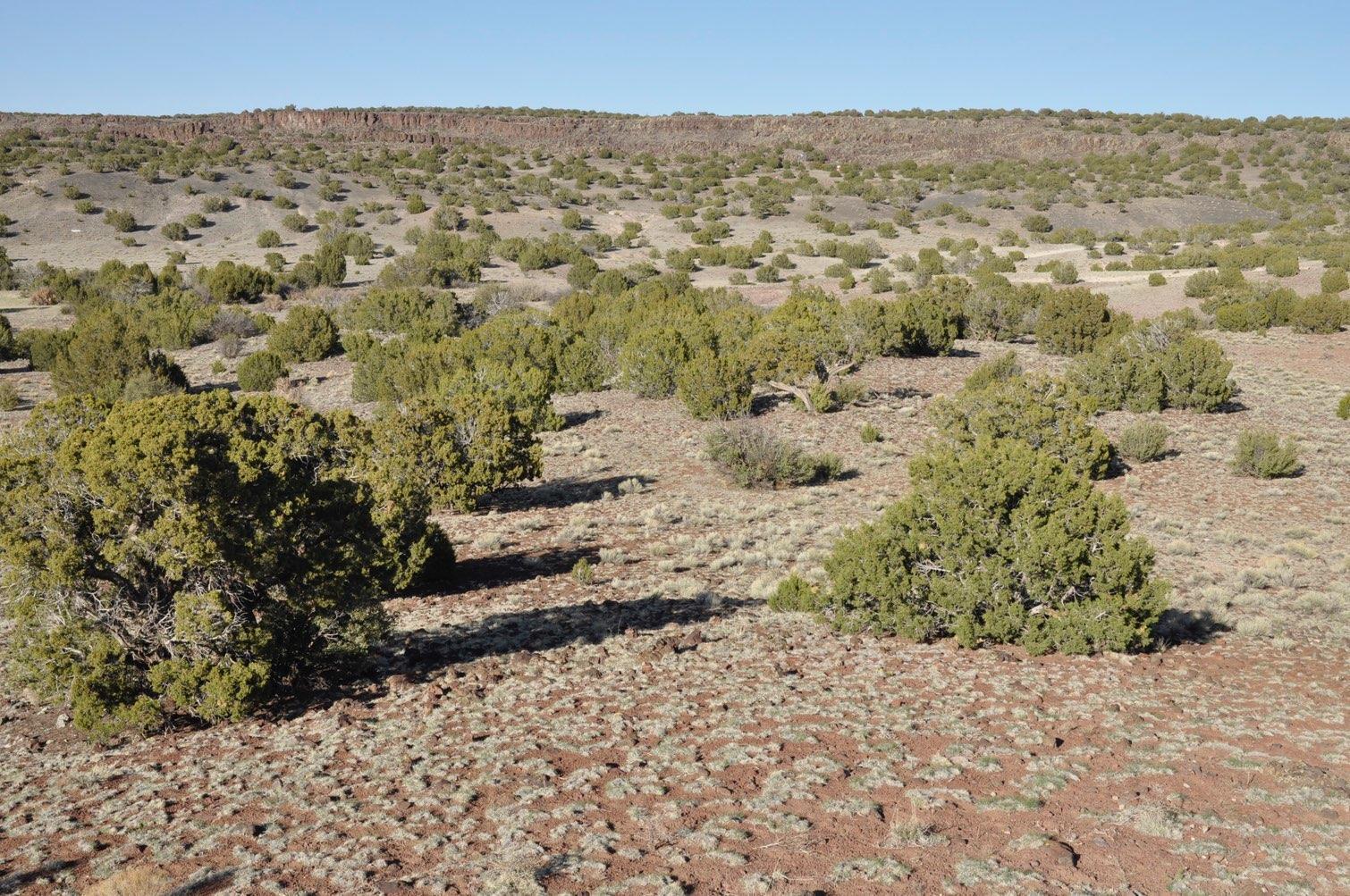 21-22 County Road Concho, AZ 85924 - Photo 9 of 25