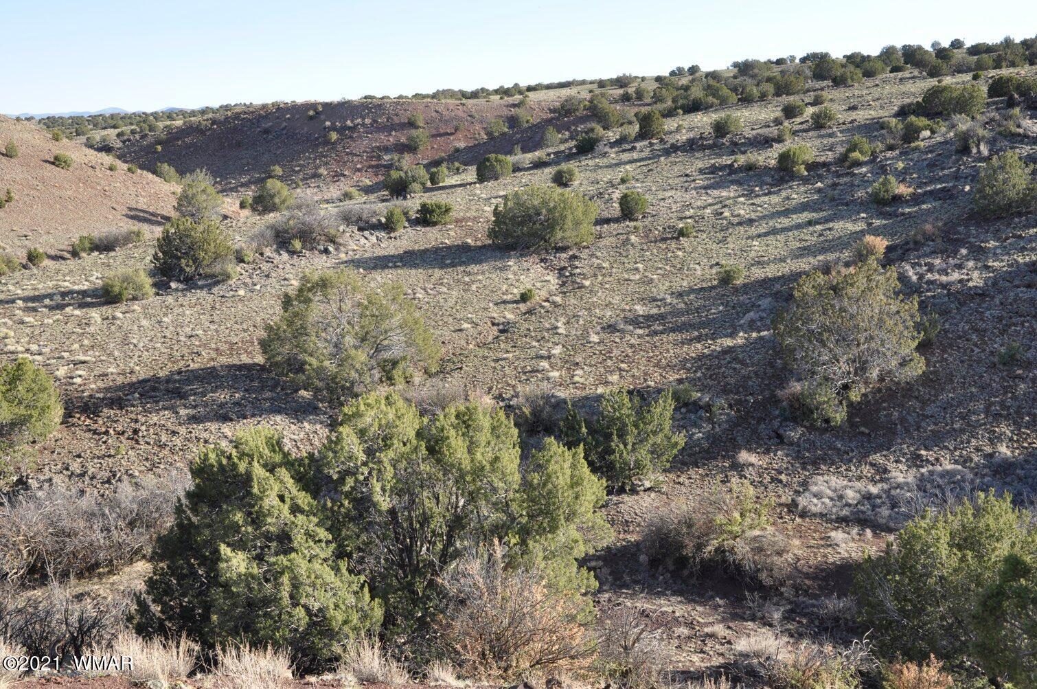 21-22 County Road Concho, AZ 85924 - Photo 10 of 25