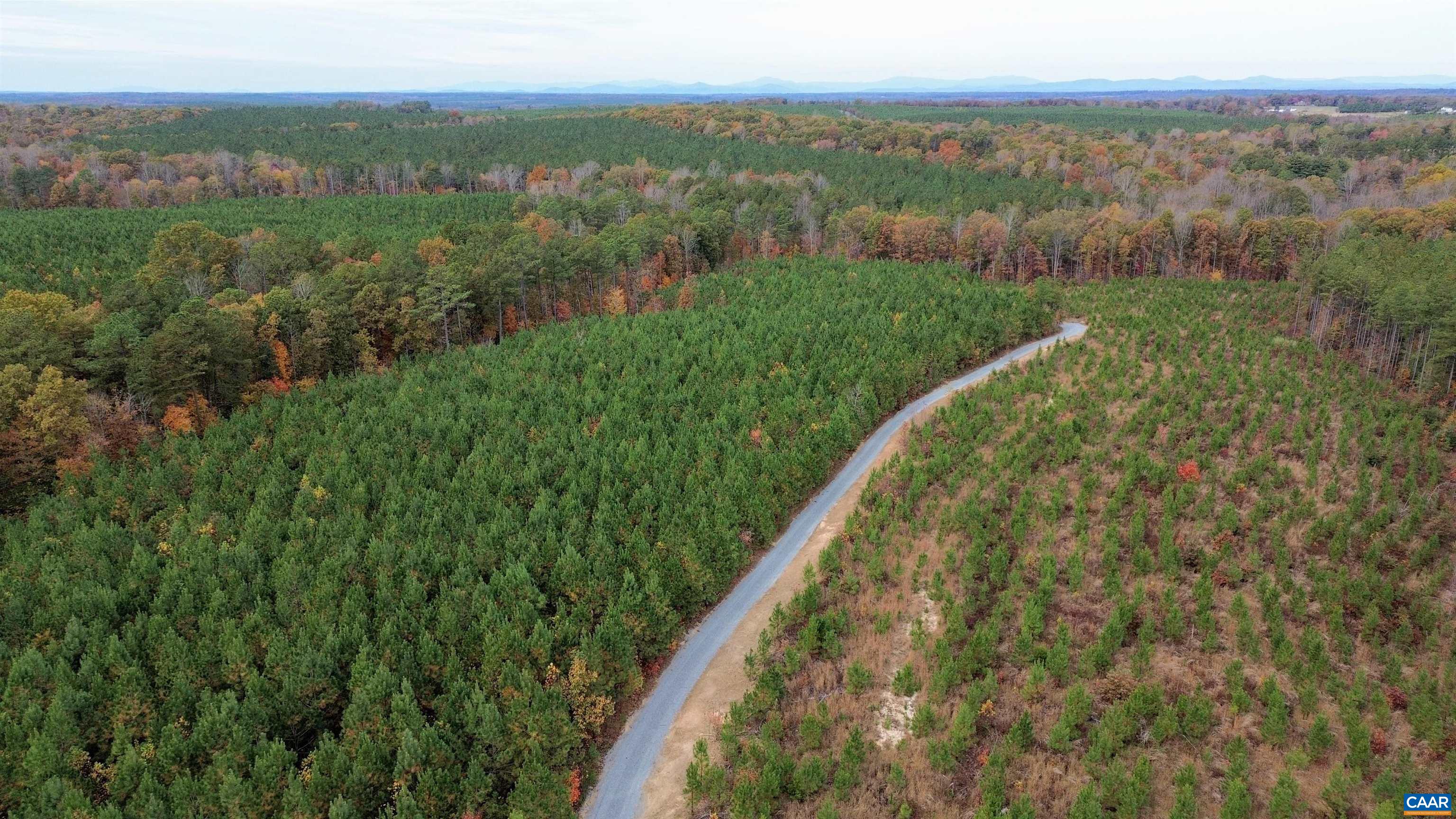 Tba Ridge Road Arvonia, VA 23004 - Photo 33 of 50