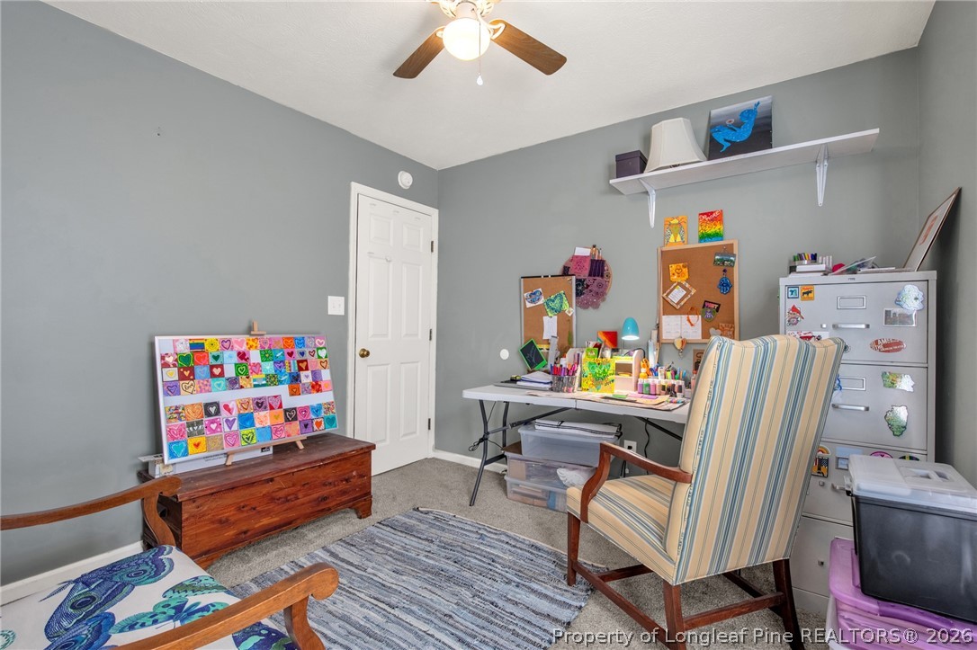 2068 Tingen Road Broadway, NC 27505 - Photo 17 of 30 Gallery Image 17