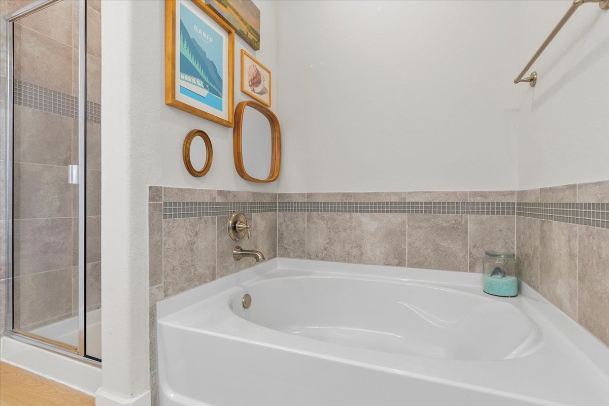 132 Emerald Garden Road San Marcos, TX 78666 - Photo 19 of 38 Primary Bathroom