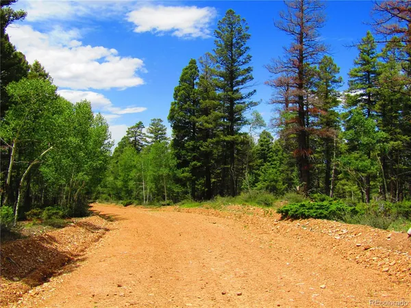 $20,000 | Lot 6082 Stella Road, San Luis, CO 81152