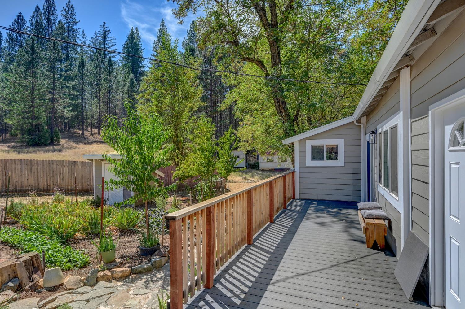 716 Railroad Flat Road Mokelumne Hill, CA 95245 - Photo 29 of 39