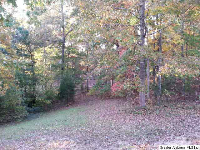 11452 Turner Bridge Road Tuscaloosa, AL 35406 - Photo 24 of 32