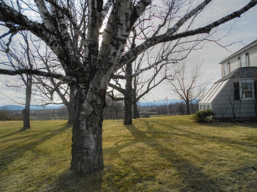 2206 Greenbush Road Charlotte, VT 05445 - Photo 25 of 35 Gallery Image 25