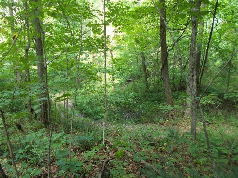 1 Smart Road Hillsboro, OH 45133 - Photo 6 of 18 Gallery Image 6