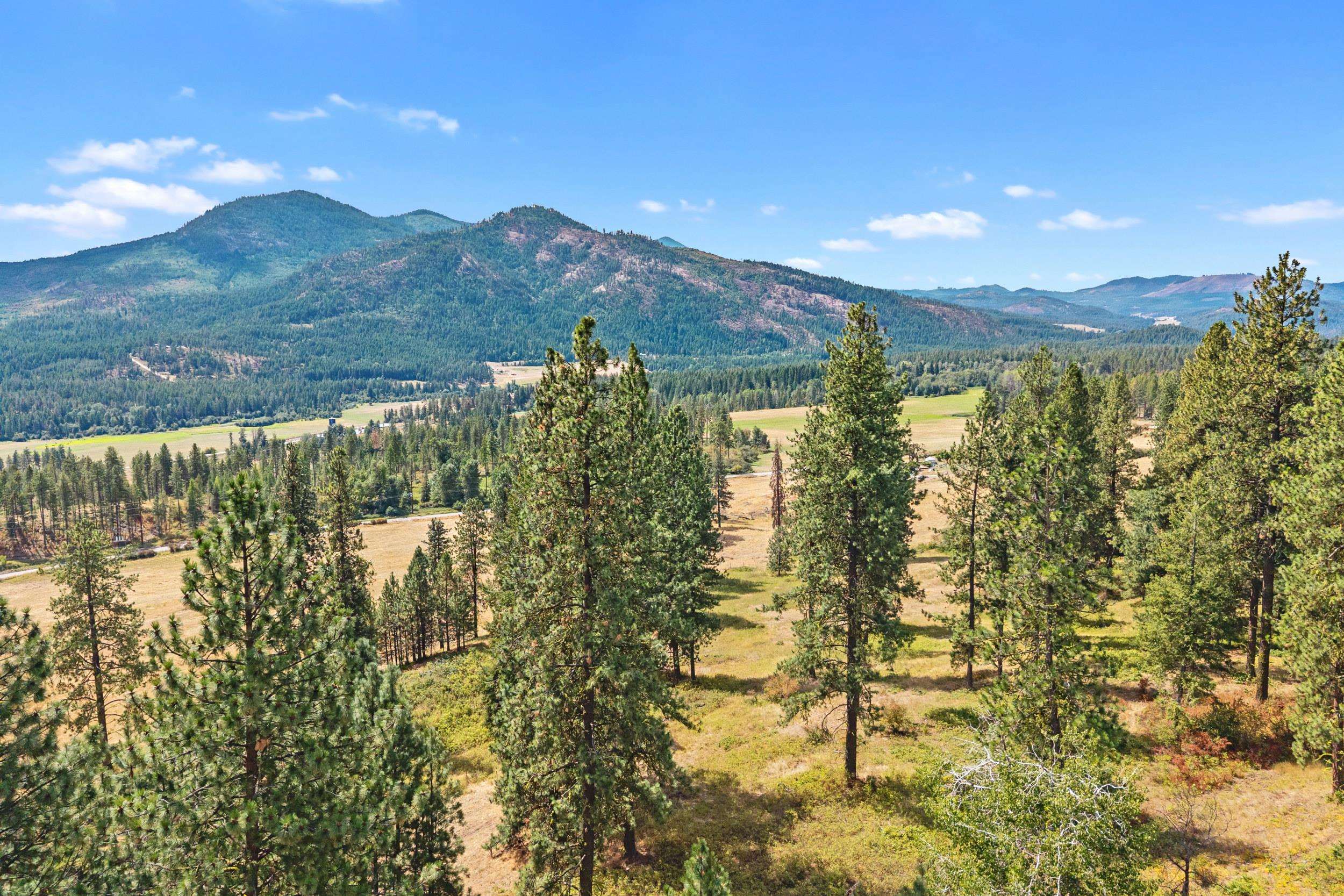 2024 Summit Valley Road Addy, WA 99101 - Photo 37 of 50