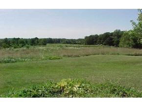 --- Zikes Road South Bloomington, IN 47401 - Photo 3 of 3 Gallery Image 3