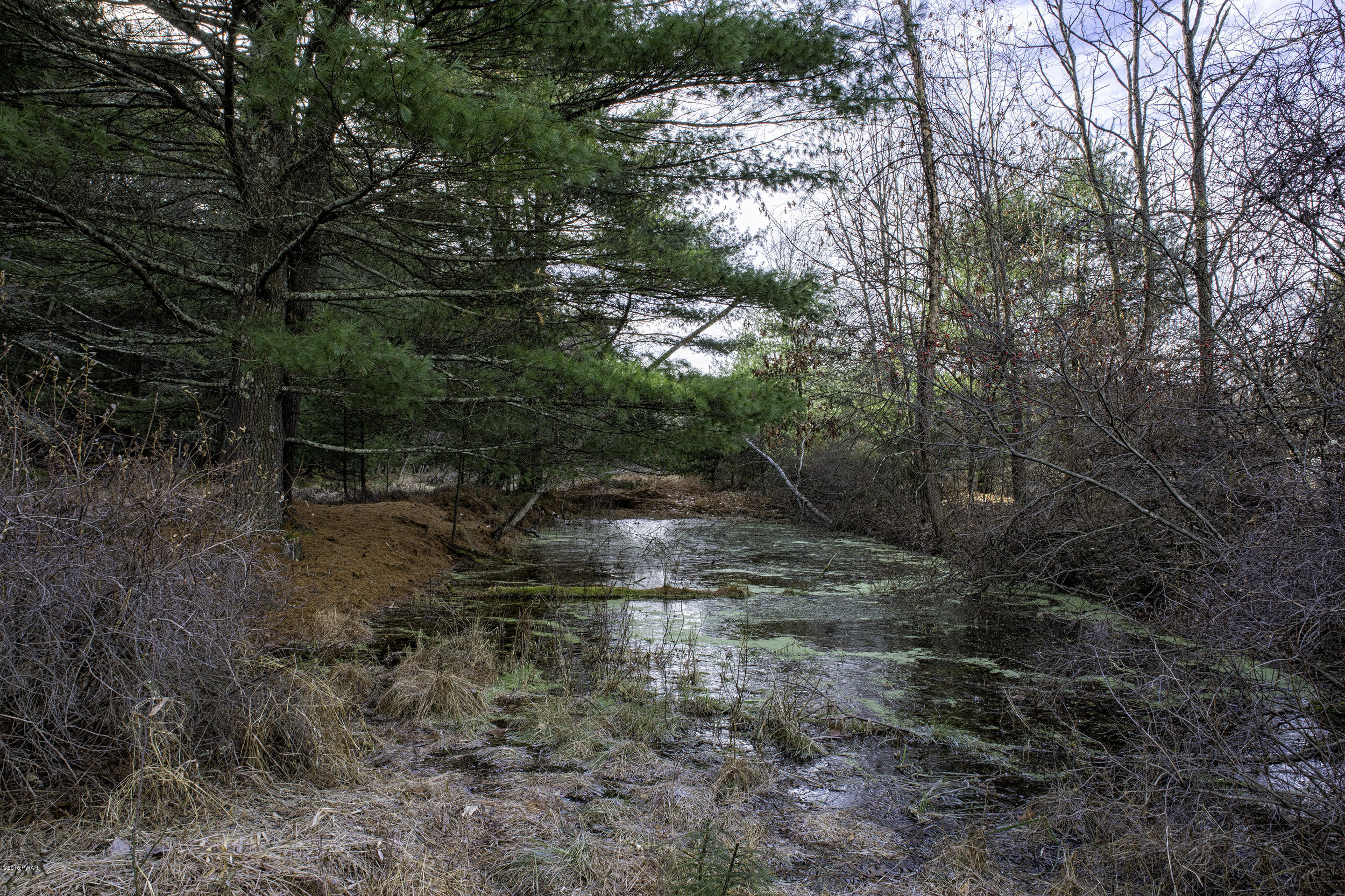 112 Rowland Road Greeley, PA 18425 - Photo 23 of 46 Pond