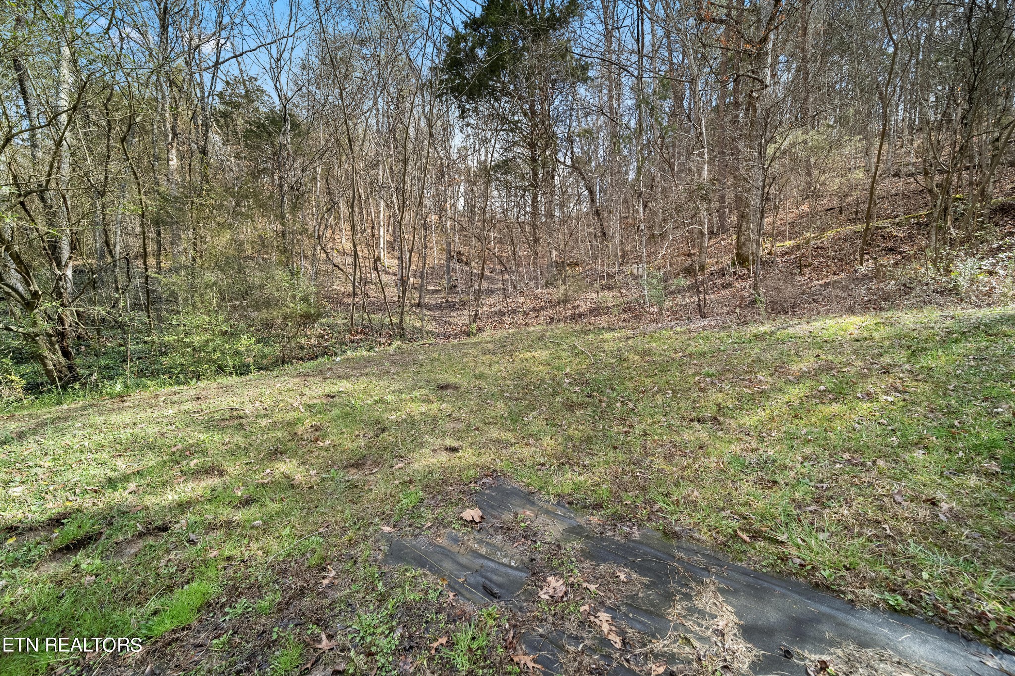 119 Pleasant Hill Road Sevierville, TN 37876 - Photo 40 of 46 Gallery Image 40