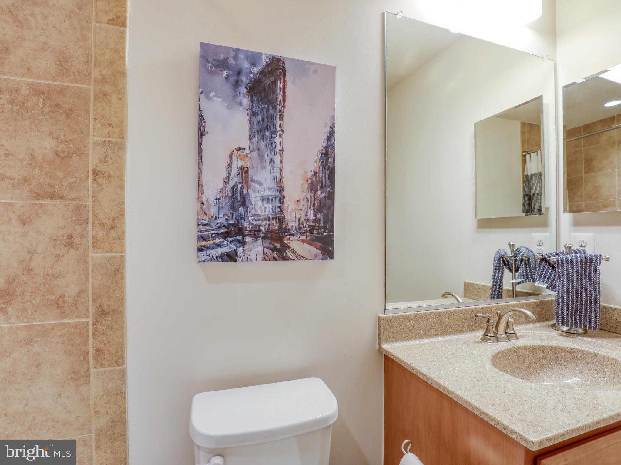 22613 Naugatuck Square Ashburn, VA 20148 - Photo 16 of 32 2nd bath, bedroom level