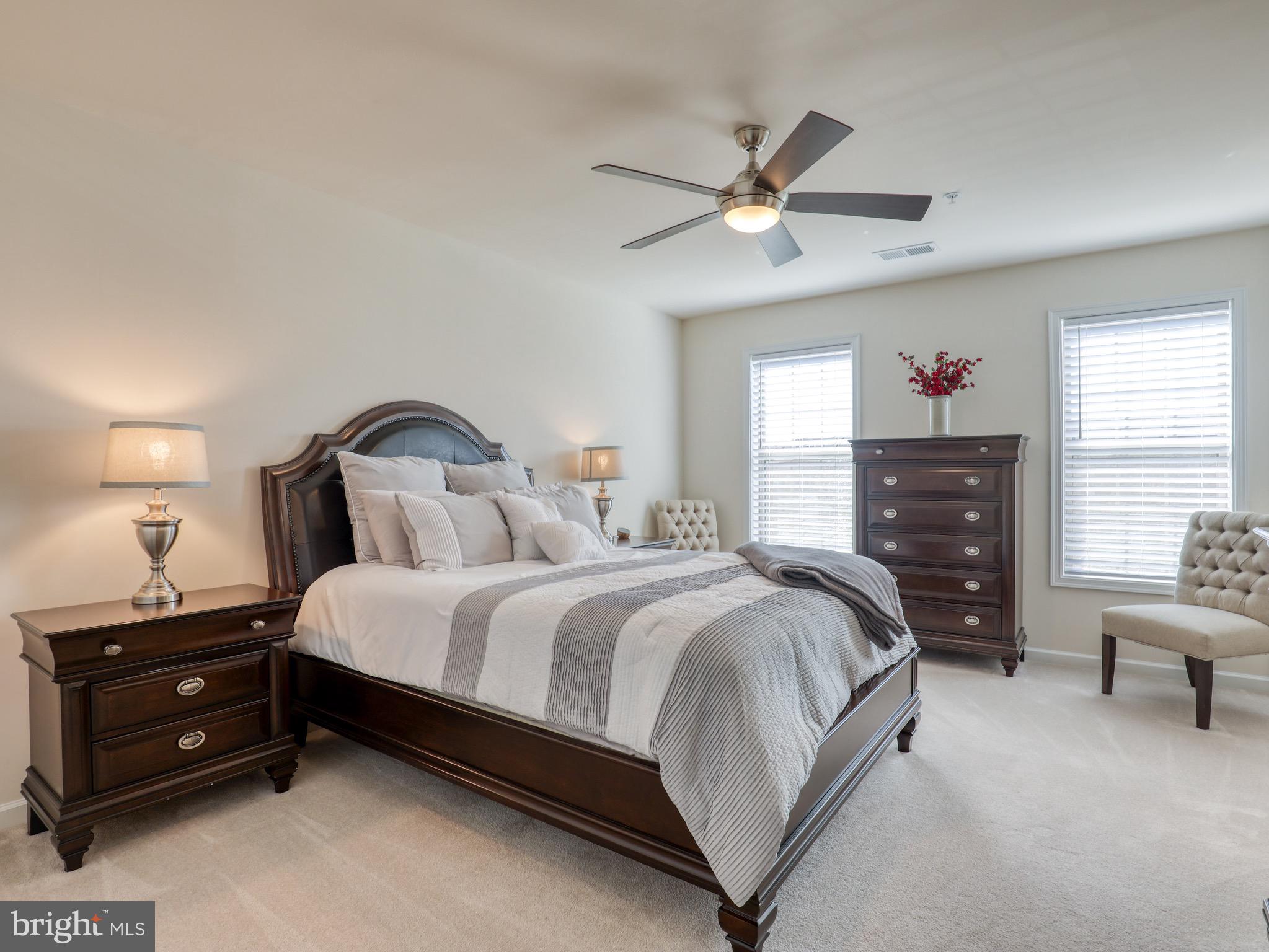 22613 Naugatuck Square Ashburn, VA 20148 - Photo 17 of 32 Primary bedroom