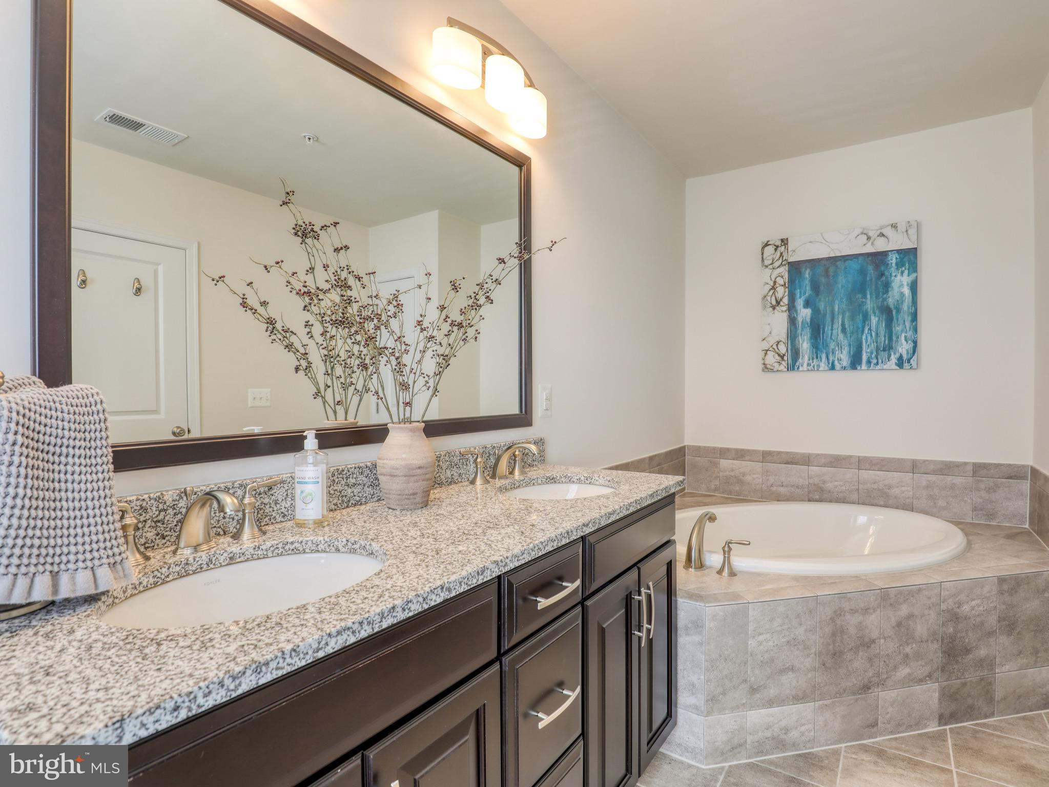 22613 Naugatuck Square Ashburn, VA 20148 - Photo 20 of 32 Primary bath, upgraded