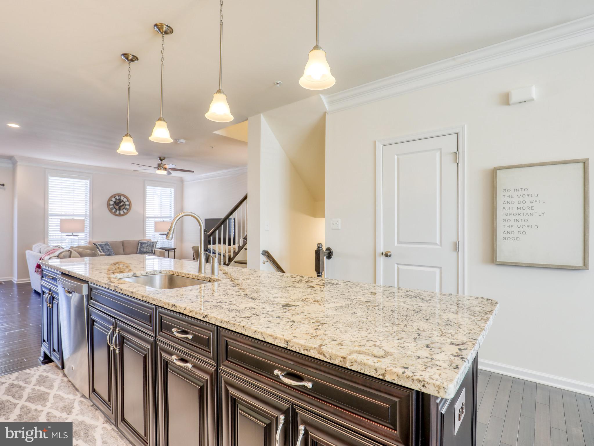 22613 Naugatuck Square Ashburn, VA 20148 - Photo 9 of 32 Gourmet Kitchen