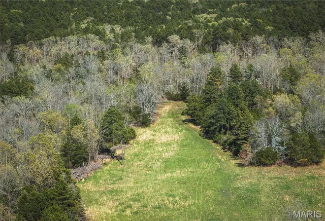 $799,000 | 0 US Frst Service Road 1792, Beulah, MO 65436