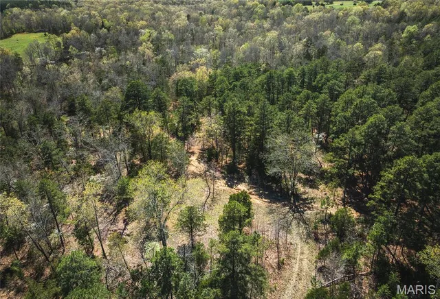 $799,000 | 0 US Frst Service Road 1792, Beulah, MO 65436