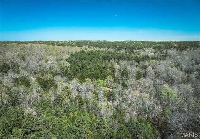 $799,000 | 0 US Frst Service Road 1792, Beulah, MO 65436