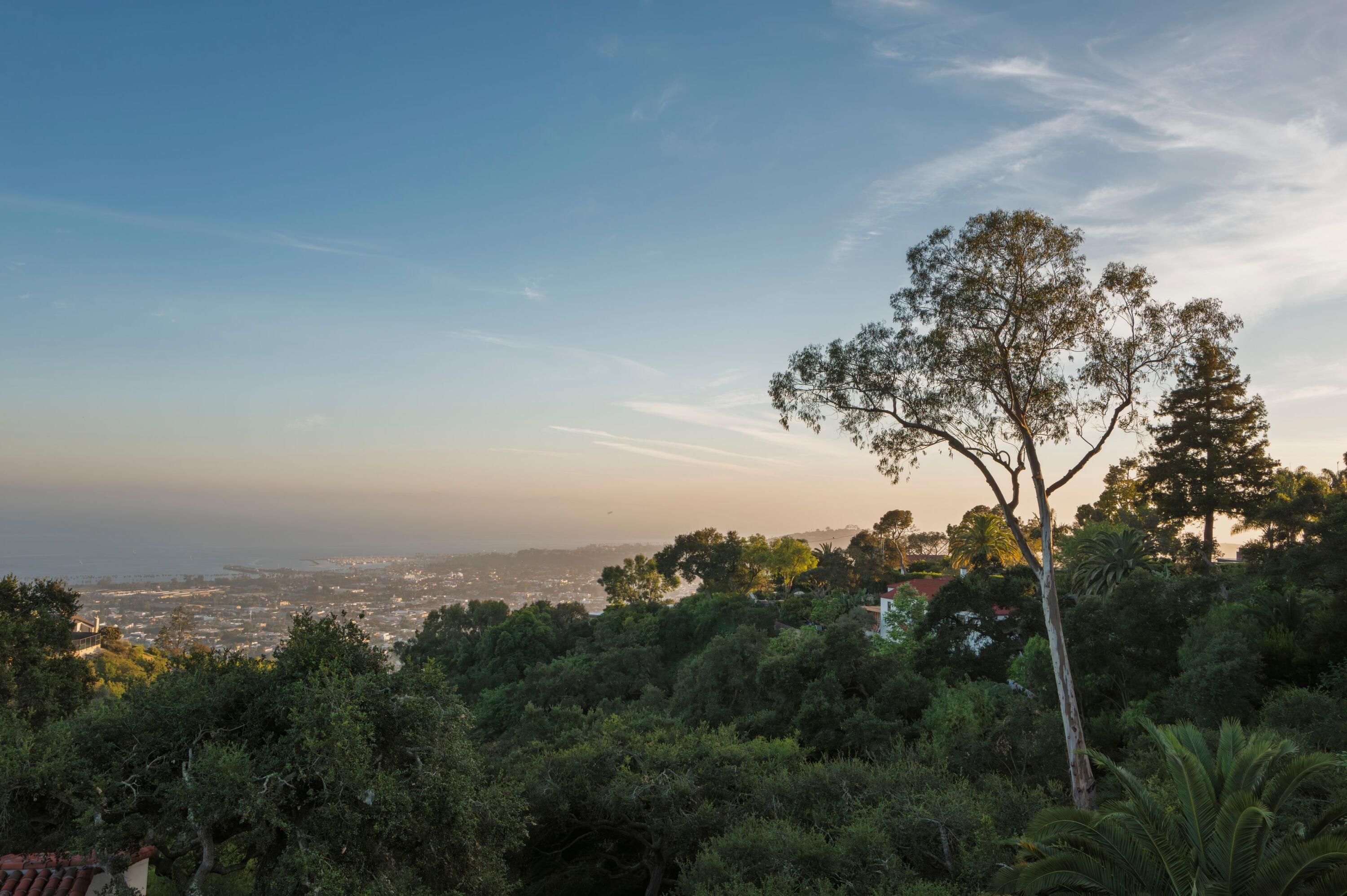 1131 Las Alturas Road, Unit A Santa Barbara, CA 93103 - Photo 47 of 47 46. Hillside View with Trees and City Be