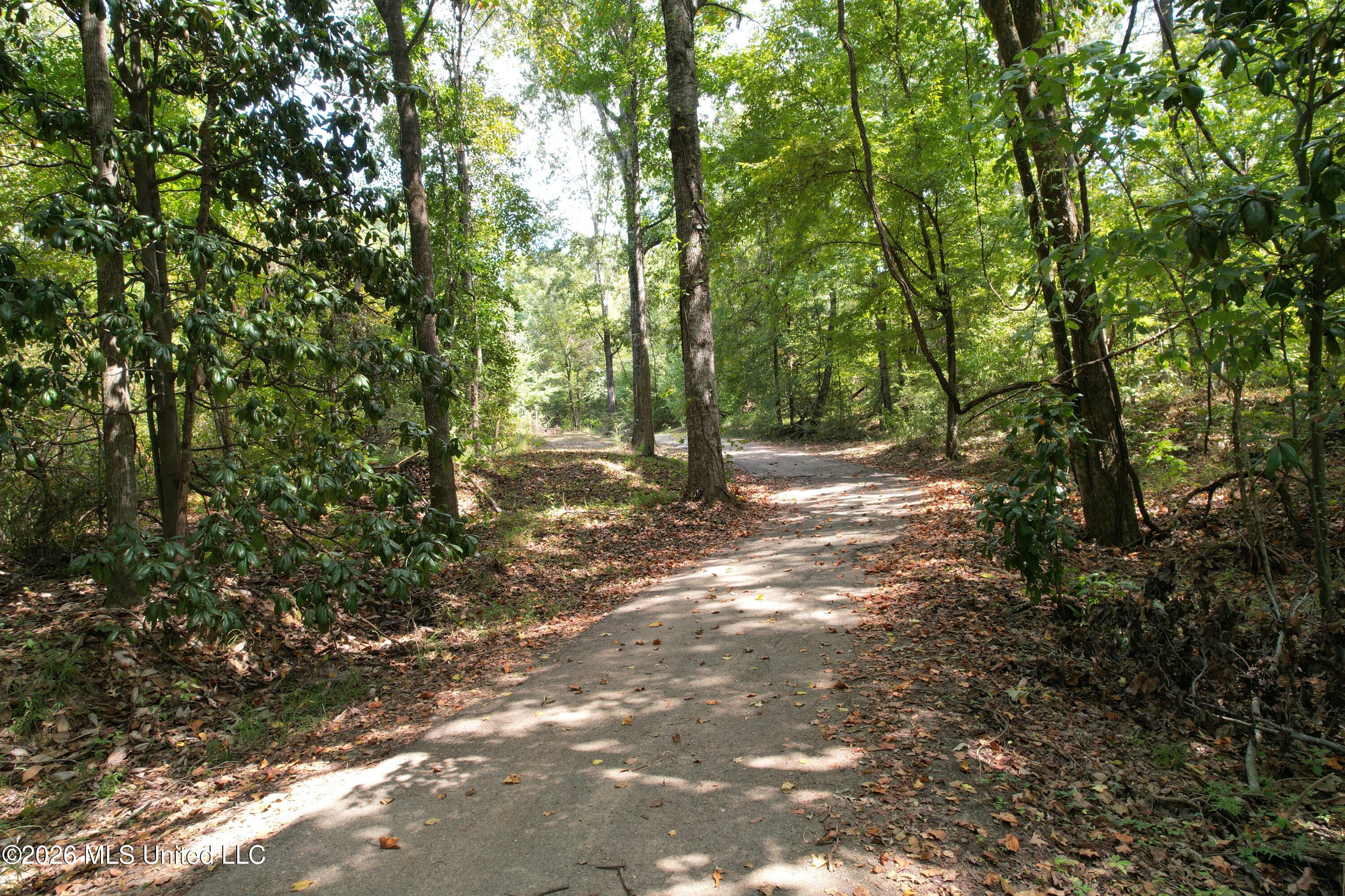 China Grove Road Vicksburg, MS 39180 - Photo 2 of 19 DJI_0842