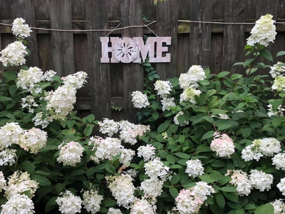 195 Cherokee Road Hendersonville, TN 37075 - Photo 52 of 61