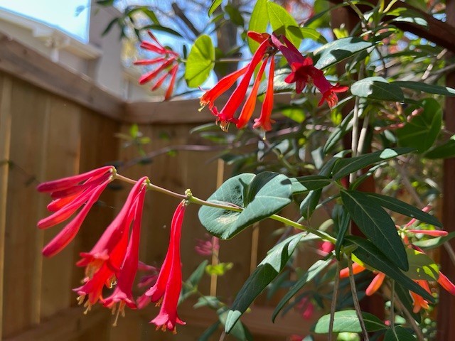 195 Cherokee Road Hendersonville, TN 37075 - Photo 54 of 61 a city view