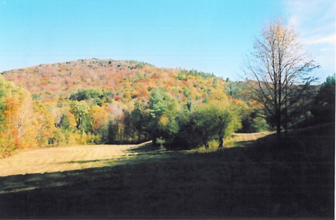 0 Black Piece Road Wardsboro, VT 05355 - Photo 3 of 5