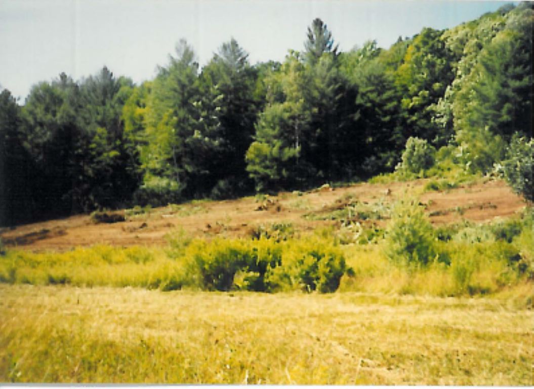 0 Black Piece Road Wardsboro, VT 05355 - Photo 4 of 5
