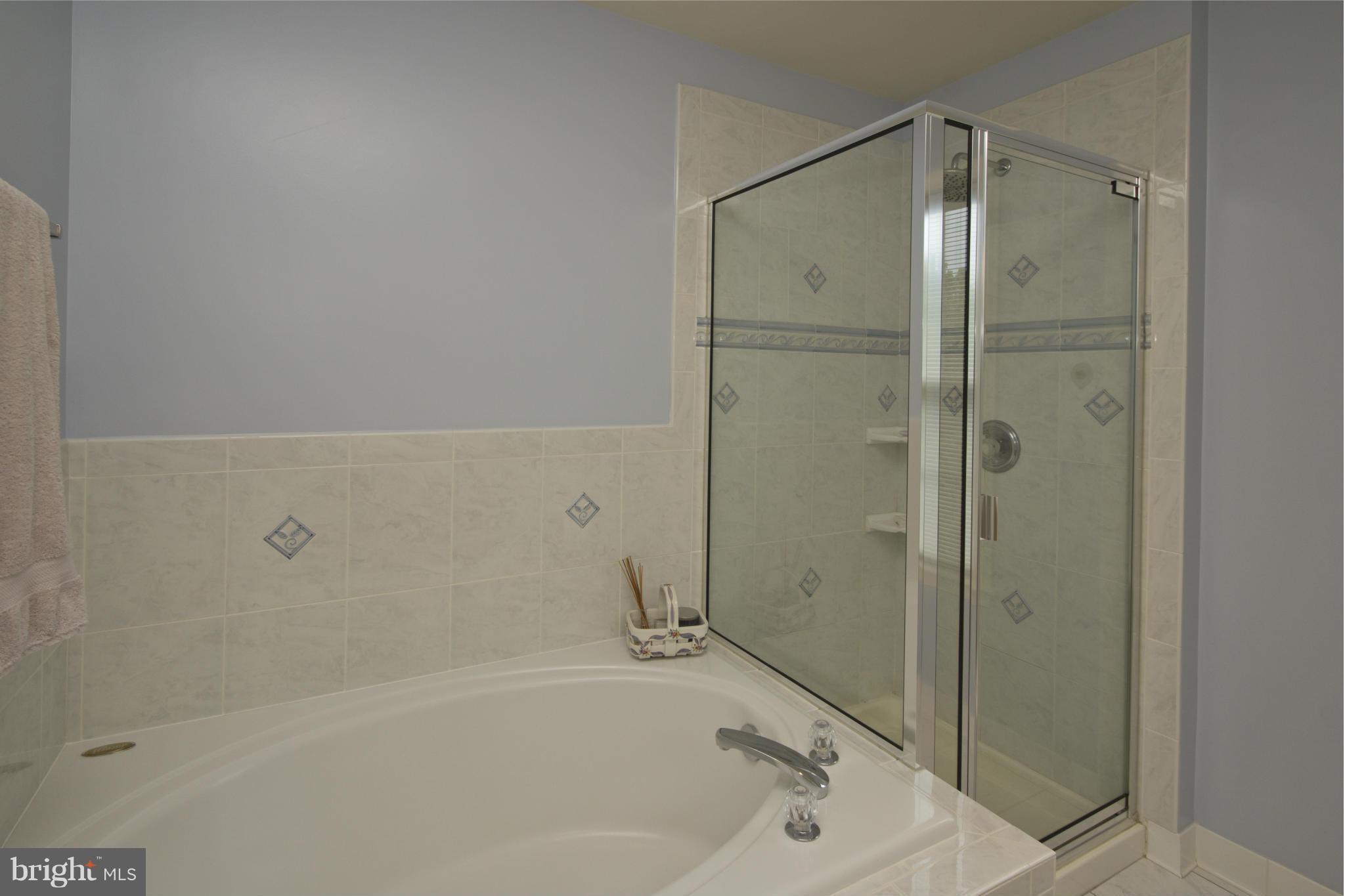 415 River Road Arnold, MD 21012 - Photo 20 of 30 Bath (Master)