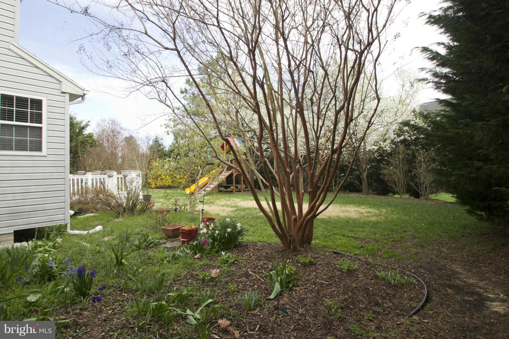415 River Road Arnold, MD 21012 - Photo 29 of 30 Exterior (Rear)