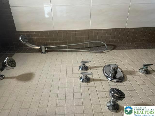 5093 Vera Cruz Road North Emmaus, PA 18049 - Photo 19 of 47 Custom shower