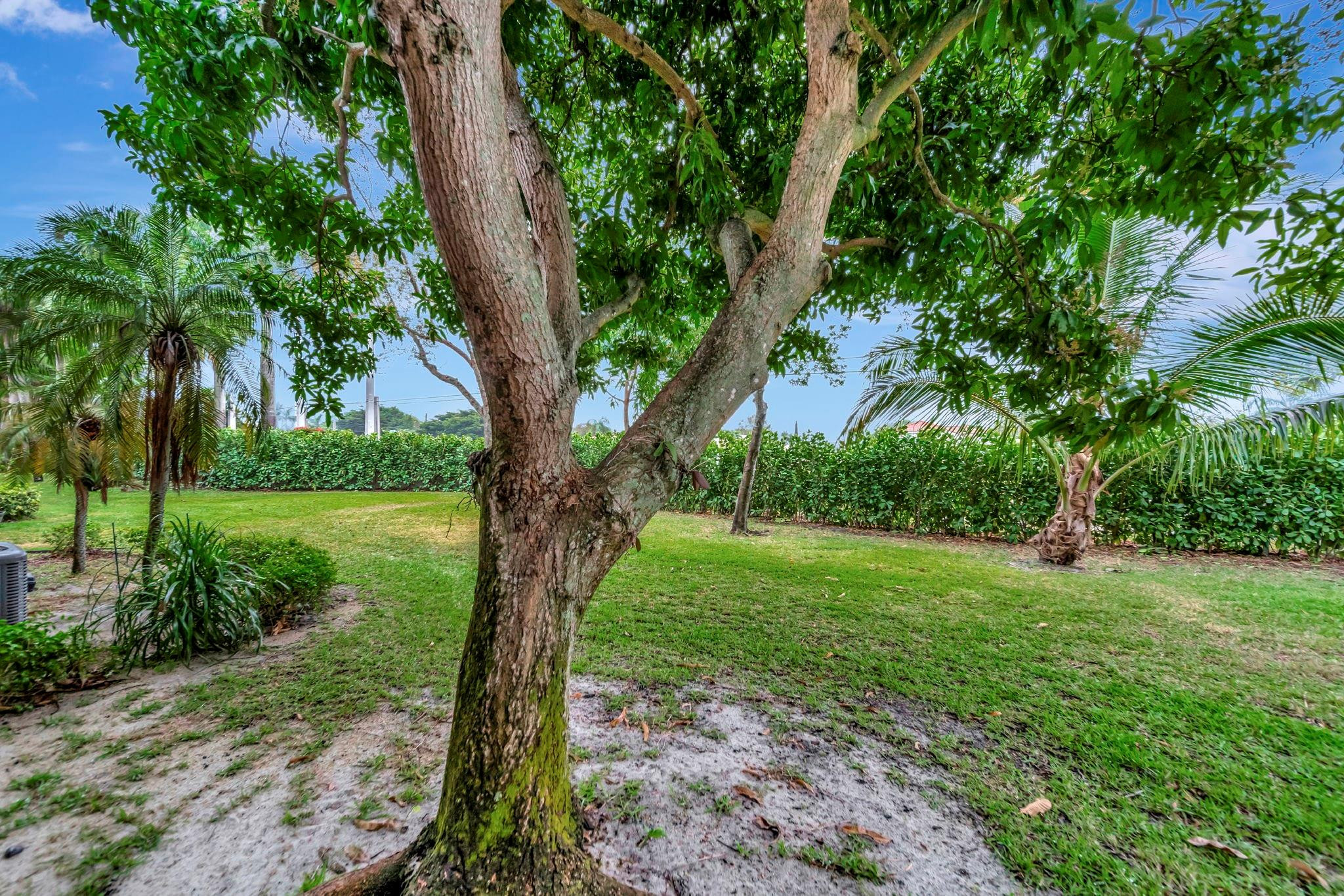 6534 Via Regina Boca Raton, FL 33433 - Photo 40 of 44 Photo 40