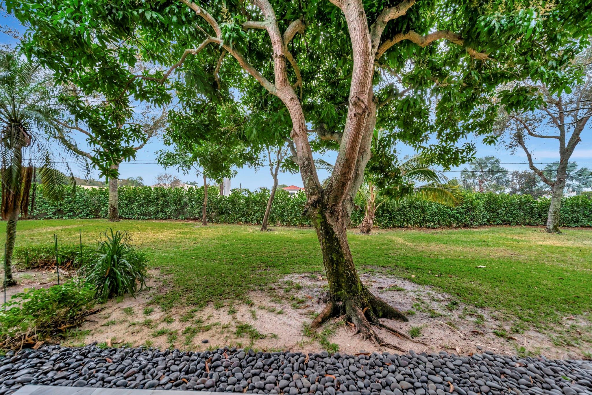 6534 Via Regina Boca Raton, FL 33433 - Photo 42 of 44 Photo 42