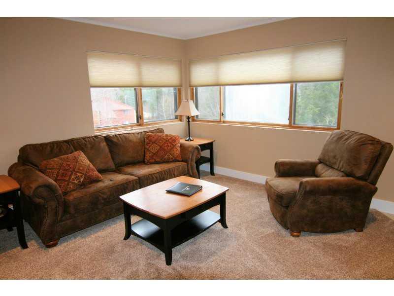 372 Skiway Road, Unit II204 Newry, ME 04261 - Photo 10 of 35 Living Room.