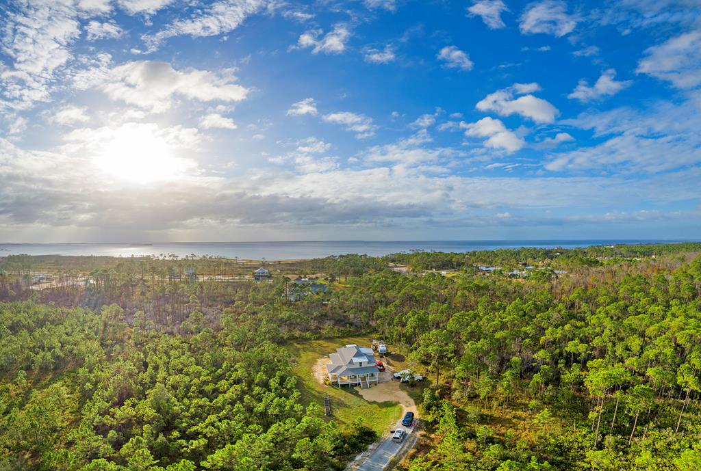 137 Shallow Reed Dr Port Street Port St. Joe, FL 32456 - Photo 12 of 23