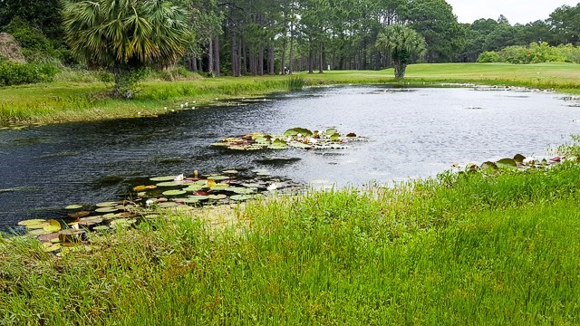 137 Shallow Reed Dr Port Street Port St. Joe, FL 32456 - Photo 20 of 23