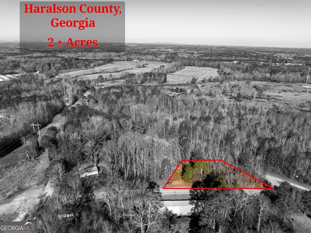 $35,000 | 0 Tallapoosa Street, Buchanan, GA 30113