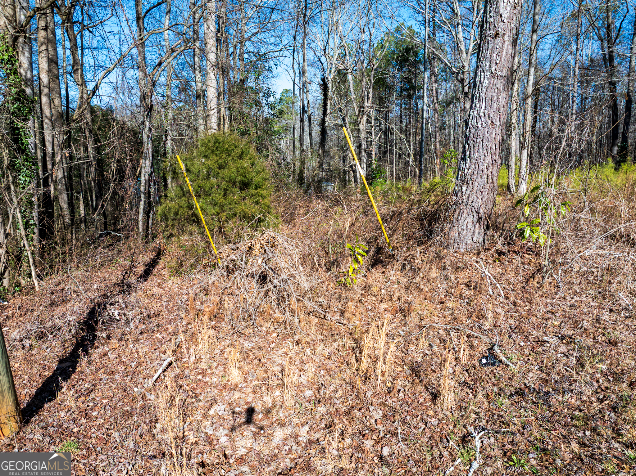 0 Tallapoosa Street Buchanan, GA 30113 - Photo 14 of 19 a view of a backyard