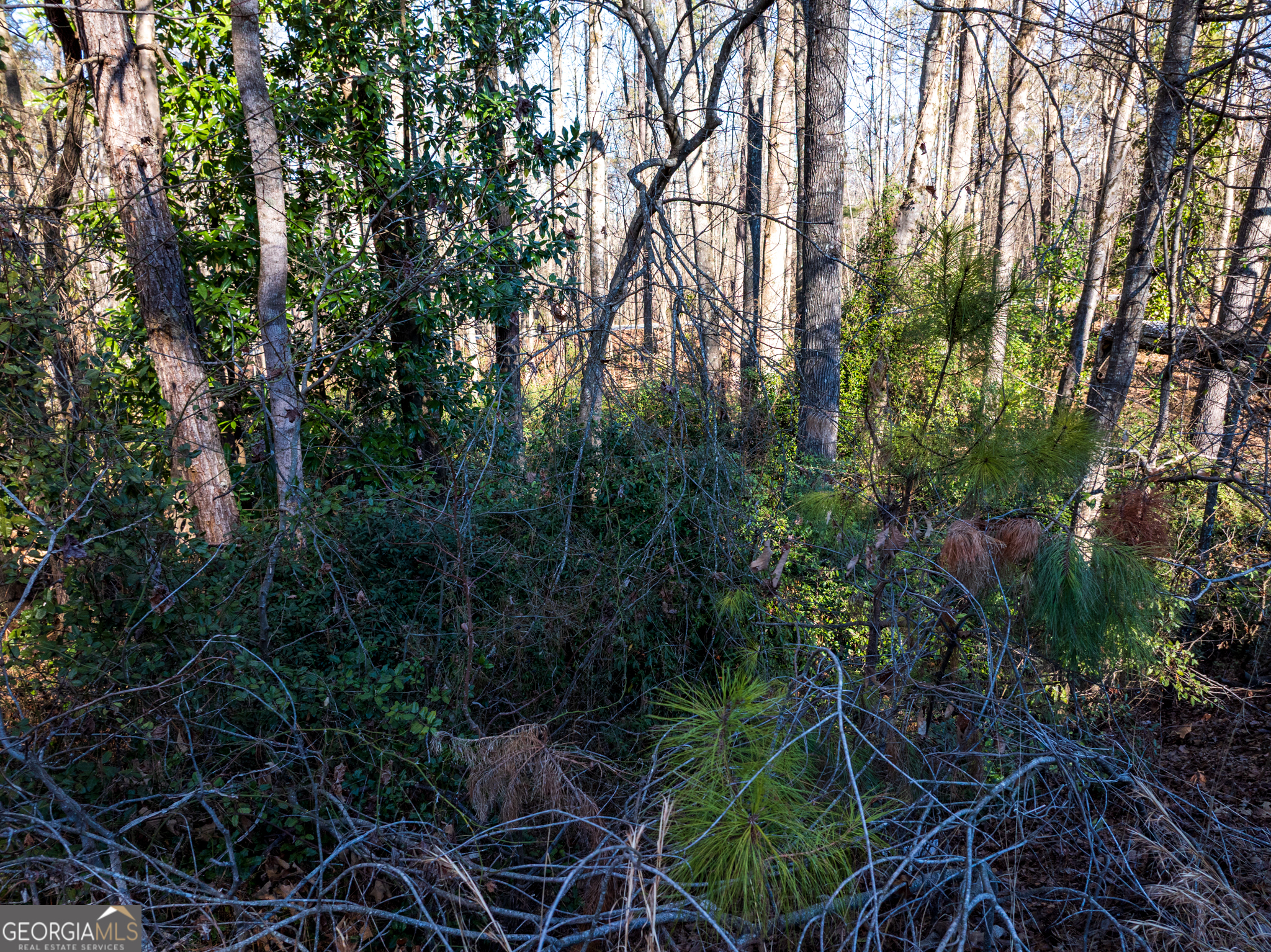 0 Tallapoosa Street Buchanan, GA 30113 - Photo 16 of 19 a view of forest